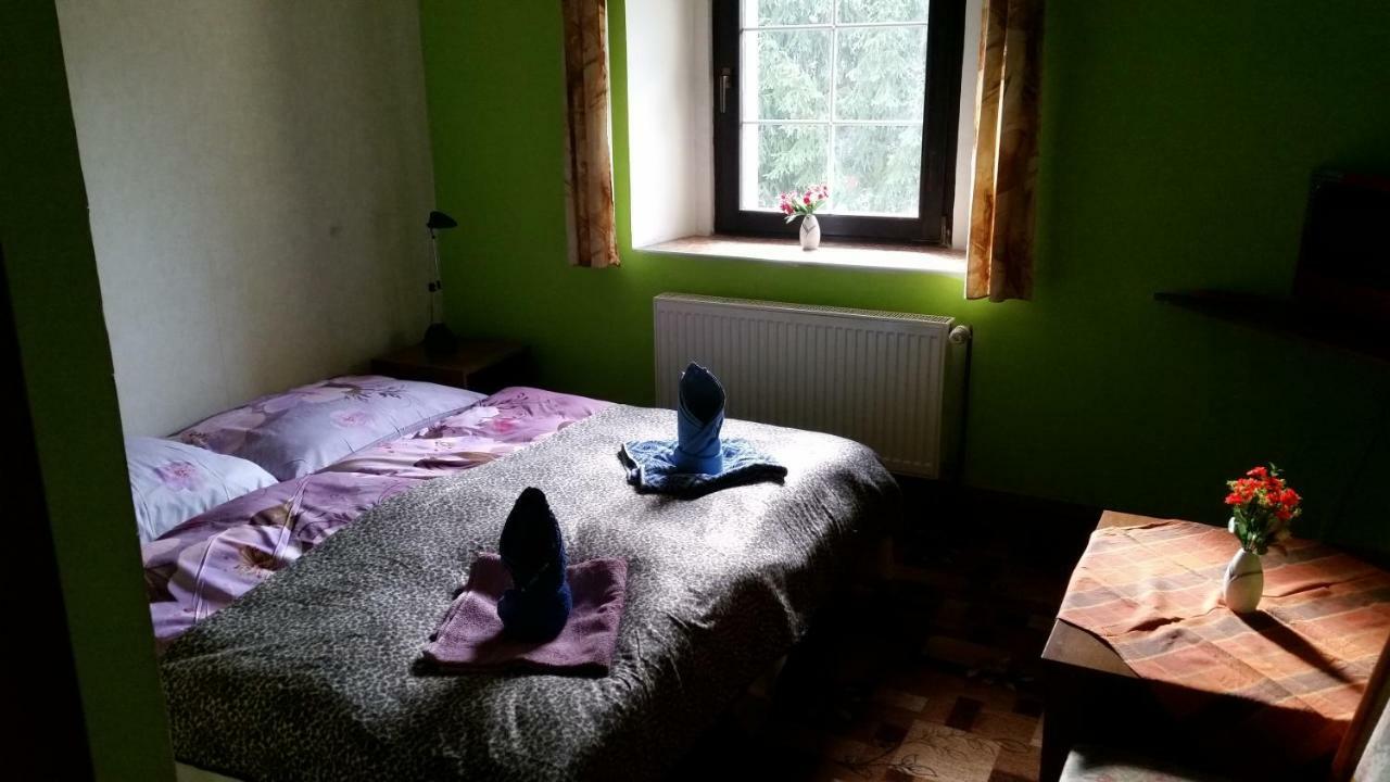 Penzion Pegas Depoltovice Nova Role Екстер'єр фото